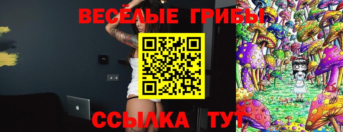 Горно-Алтайск  Галлюциногенные грибы прущие грибы  купить   Вход с VPN 